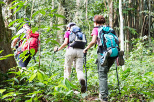 A group of people Hiking in t tropical forest