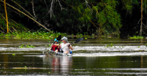  Couple is Kayaking la river of the Osa Peninsula, heading to the Mangrove estuary