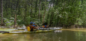 Kayaking the Wild Watertrails of the Osa Peninsula