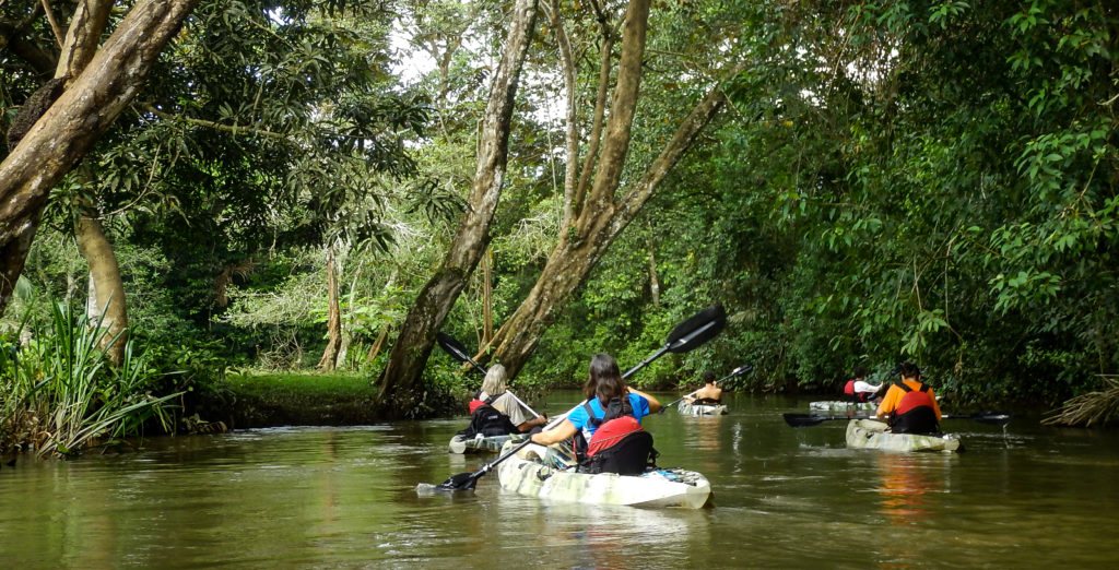 Kayaking along a Recently re-opened Water Trail, part of the Wild Trails Adventures Exciting New Treks
