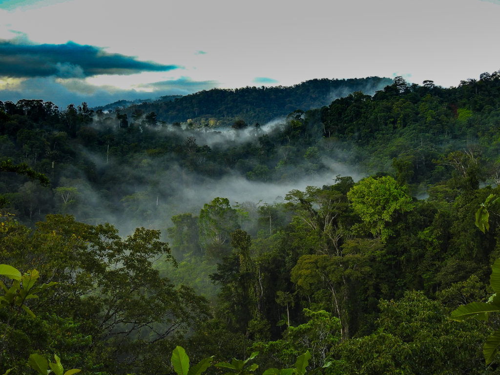 Early Morning Fog-Cloud of=ver the Rainforest of the Osa Peninsula, along the Trails that are part of the Corcovado Ring Adventure Kayak Trek