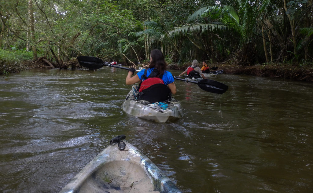 Kayaking along the Ancient Water Trail that runs among quiet farmlands and wetland forest in the Osa Peninsula Hidden Valley