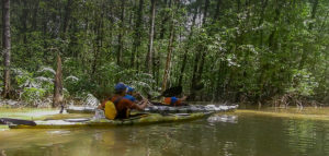 Corcovado Ring Adventure Kayak Trek in the Osa Peninsula Mangrove Complex