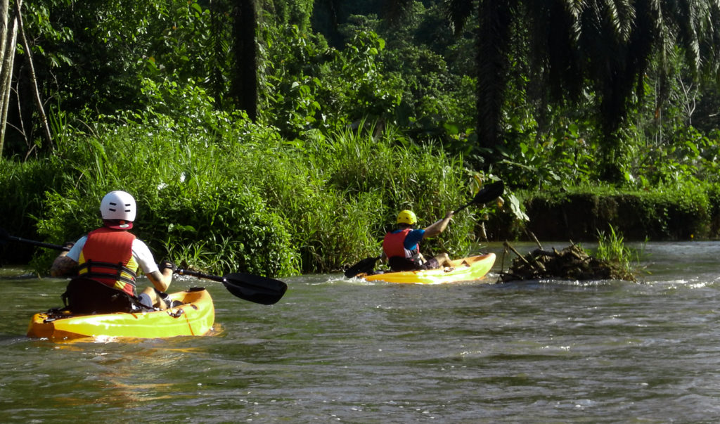 Corcovado River Kayak Trek along Forest, Farms, Plantation and Mangrove Complex