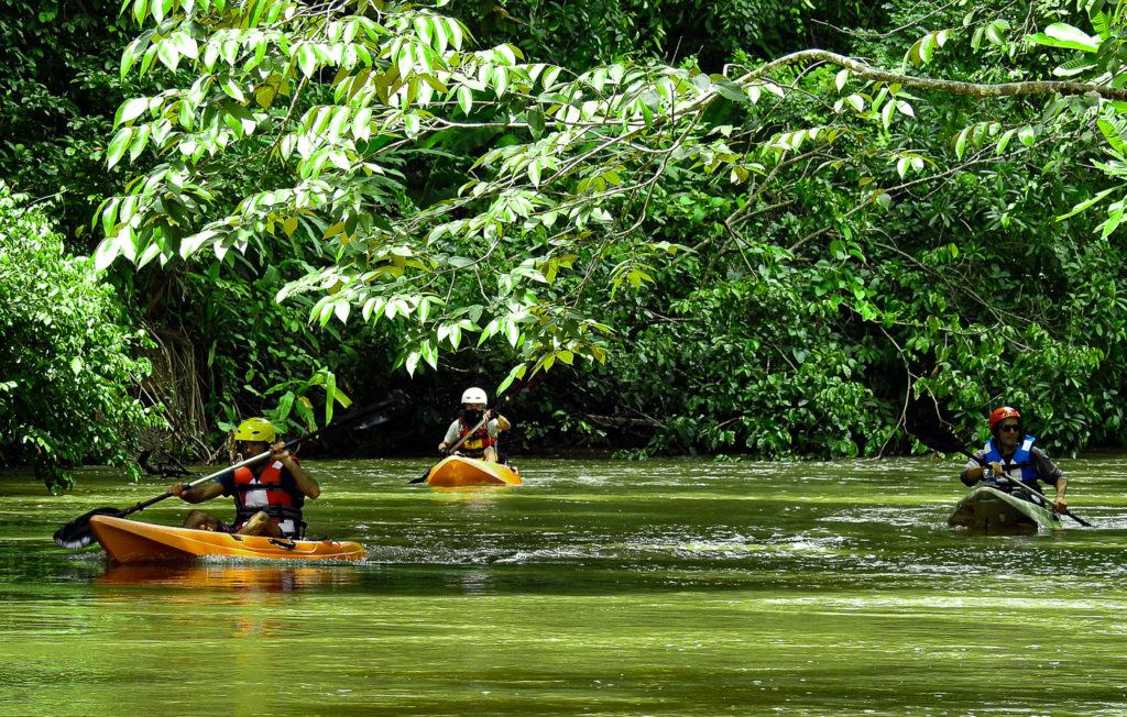 River Kayaing from the Corcovadop Valley to the Mangrove Complex along the Golfo Dulce Coast of the Osa Peninsula