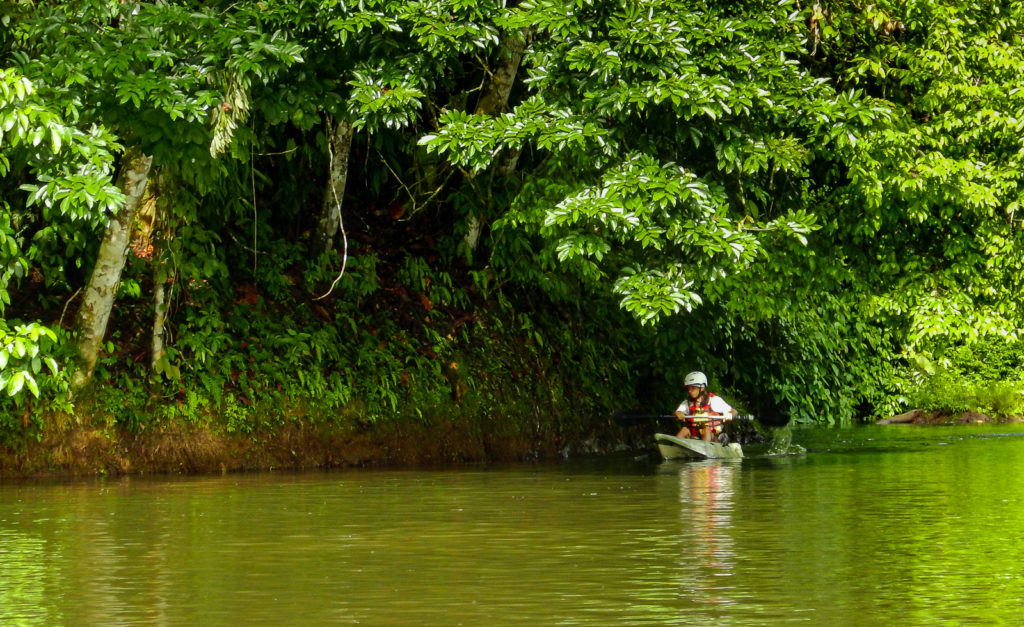 A Corcovado River that runs from the centre of the Osa Peninsula, offers a Great Kayaking for Bird-watchers