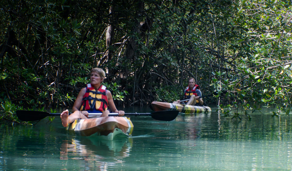 Kayak Mangrove Complex Exploration in Puerto Jimenez by Wild Trails Adventures