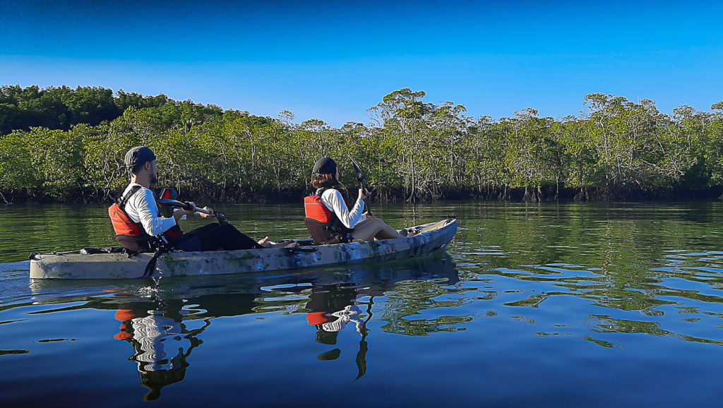 Slowly paddling along the mangrove coast of the Golfo Dulce, in the OSa Peninsula, for a Wild Trails Adventures Full Kayak Snorkeling at zero impact.