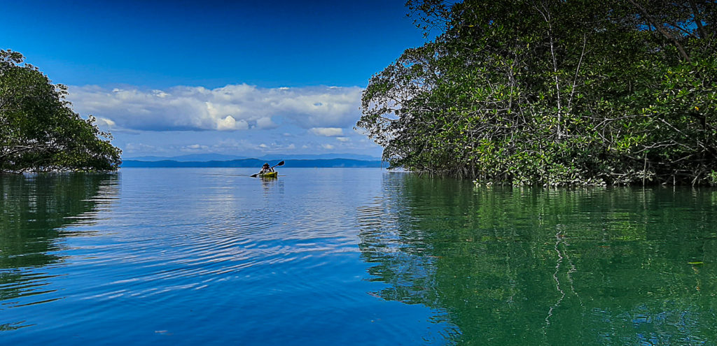 PAddling in the Mangrove Canals along the Golfo DUlce Coast's close to the Coral Reef Spot were Wild Trails Adventure bring the Zero Impact Trekkers for a Full Kayaking Snorkel Tour