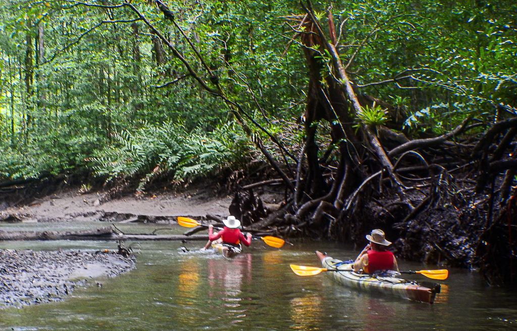 Mangrove Canal Kayaking during a Sea Kayak Camping Golfo Dulce Experience by Wild Trails Adventures in Puerto Jimenez
