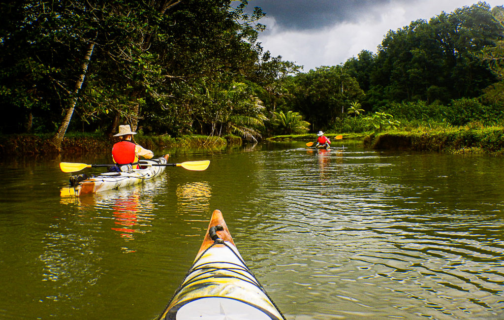 Quiet River Kayaing,during a Sea Kayak Camping Golfo Dulce Experience by Wild Trails Adventures in Puerto Jimenez